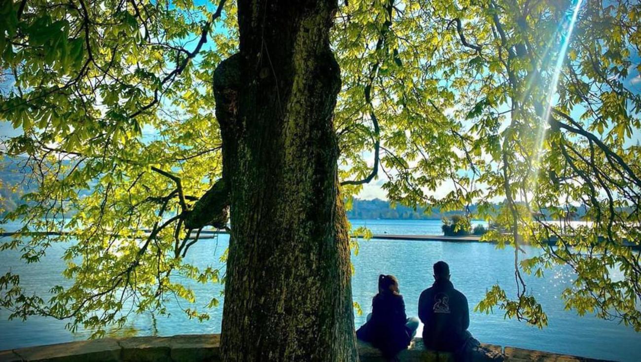 L'Echappee Du 36 - 4 Chambres Dans Le Triangle D'Or A 100M Du Lac, Parking Gratuit Άννεσι Εξωτερικό φωτογραφία
